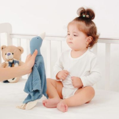 Doudou-oie-bebe-bleu