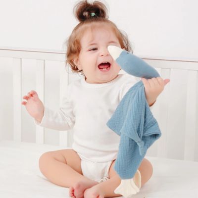 Doudou-oie-bebe