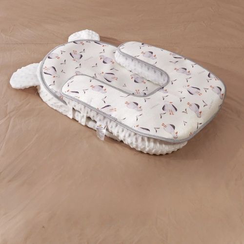 plan-incline-bebe-deux-niveaux