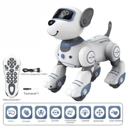 robot-chien-gris