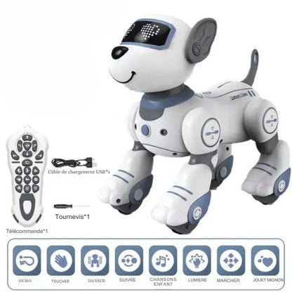 robot-chien-gris