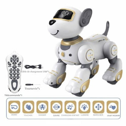 robot-chien-or