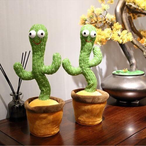 CACTUS QUI DANSE | FUNTIME™ - Dewan